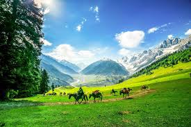 Kashmir